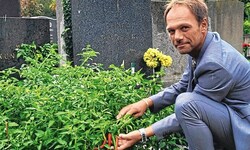 Friedhofsverwalter Walter Pois zeigt der „Krone“ stolz seine heurige Pfefferoni-Ernte und hofft ...