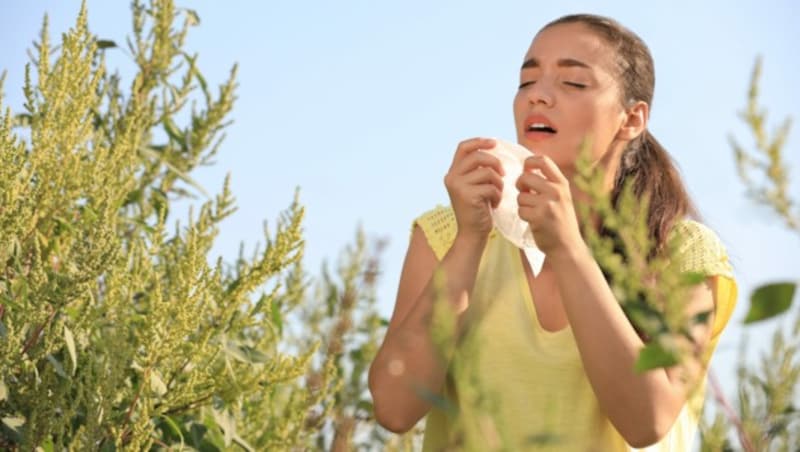 Die bisherige Pollensaison verlangte den Allergikern bisher schon einiges ab durch das ständige Auf und Ab der Belastungen. (Bild: africa-studio.com - stock.adobe.com)