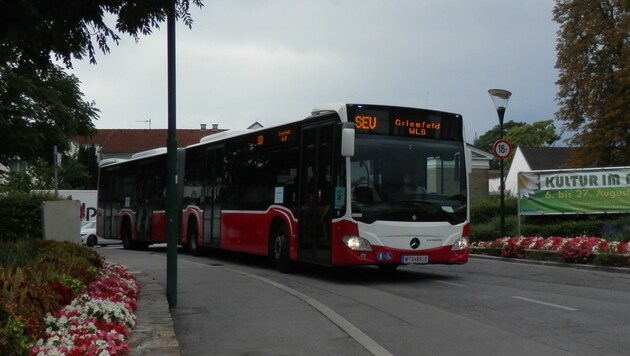 19-Tonnen-Busse sorgen für Bedenken in Wiener Neudorf. (Bild: zVg)