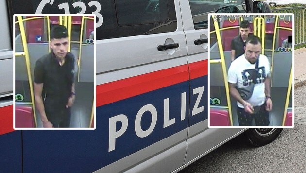 Bildaufnahmen der mutmaßlichen Täter in Wien. (Bild: Krone KREATIV; LPD Wien)