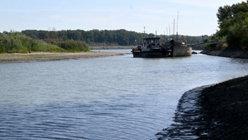 Auch die Flussschifffahrt in der Donau ist bereits beeinträchtigt. (Bild: APA/ROLAND SCHLAGER)