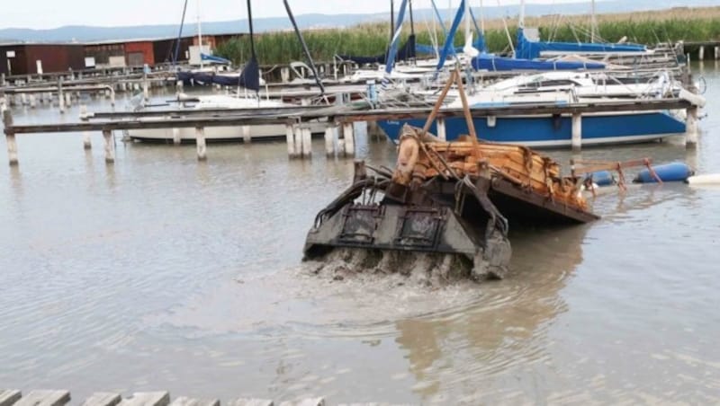 Schlamm wurde in Rust abgesaugt und in ein Rückhaltebecken gepumpt. (Bild: Judt Reinhard)