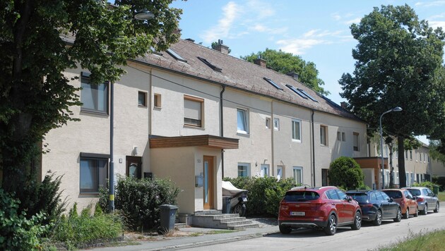 In dieser Reihenhaussiedlung in der Donaustadt kann Mieter Gerald F. keine klimaschonende Photovolatikanlage bauen. (Bild: Gerhard Bartel)