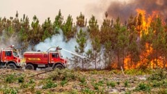 In Bordeaux (Frankreich) ist die Feuerfront 40 Kilometer lang. (Bild: AP)