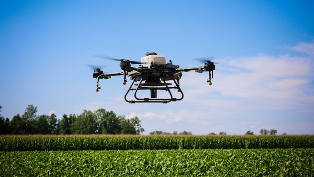 Mit der neuen Agar-Drohne kann bereits Wochen vor der Ernte neu ausgesät werden (Bild: Scharinger Daniel)