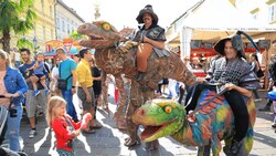 Der Altstadtzauber lockt jährlich tausende Besucher an.  (Bild: Rojsek-Wiedergut Uta)