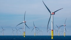 Schlechte Zeiten für die Energiewende? Aus Sorge vor Russland legt Schweden große Infrastrukturprojekte zur Stromerzeugung auf Eis.  (Bild: agrarmotive - stock.adobe.com)