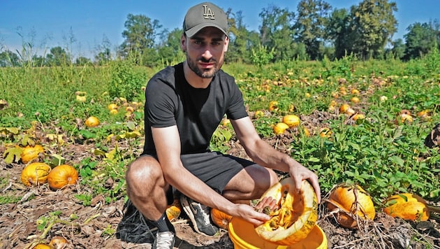 Christoph Schantl wird heuer früher mit der Kürbisernte beginnen. (Bild: Pail Sepp)