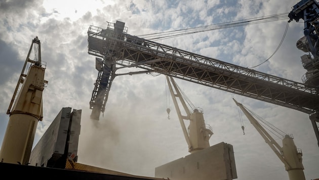 Ukrainisches Getreide wird auf ein Frachtschiff geladen. (Bild: APA/AFP/Oleksandr Gimanov)