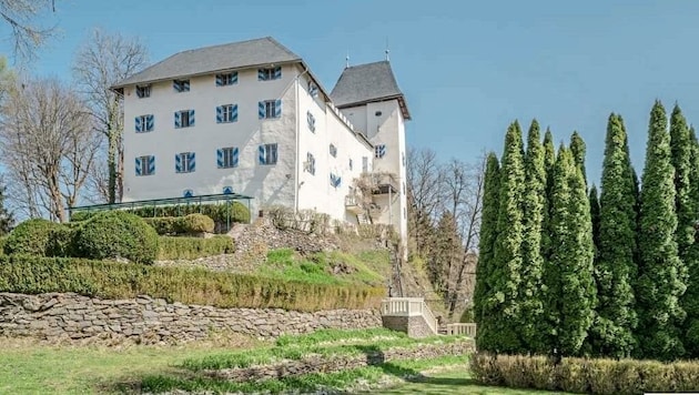 Dieses „märchenhafte Schloss mit viel Luxus“, wie es beschrieben wird, steht um 9,6 Millionen Euro zum Verkauf. (Bild: willhaben/KW Immobilien GmbH)