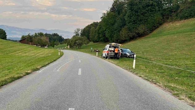 Der unbekannte Unfalllenker schleuderte über die Straße ehe er in der angrenzenden Wiese eine Kuh umfuhr. (Bild: Kapo St. Gallen)