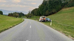 Der unbekannte Unfalllenker schleuderte über die Straße ehe er in der angrenzenden Wiese eine Kuh umfuhr. (Bild: Kapo St. Gallen)