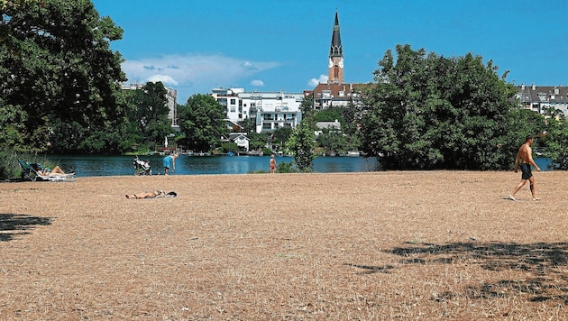 2022 wurde einer der heißesten Sommer der österreichischen Messgeschichte verzeichnet. (Bild: Klemens Groh)