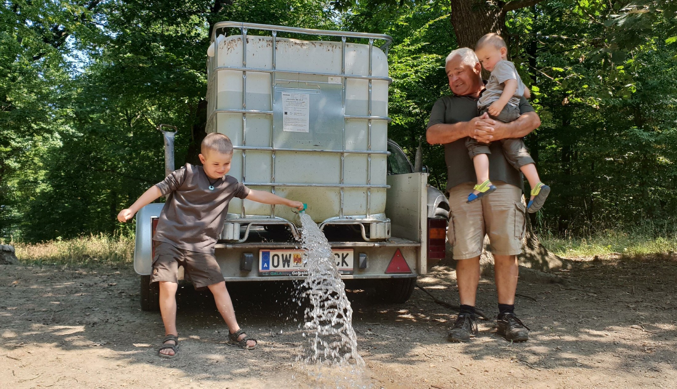 Die Trockenheit tötet - Seichte Wasserstellen retten Wildtieren das Leben |  krone.at