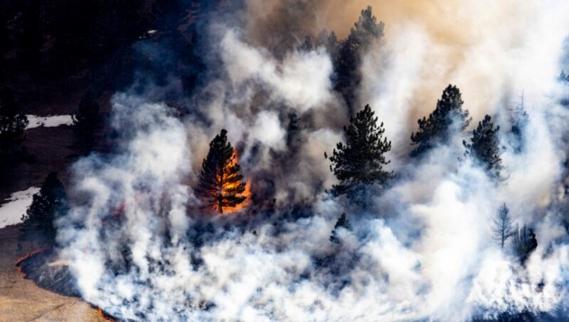 Extreme Hitzewellen machen Waldbrände immer wahrscheinlicher. (Bild: APA/Getty Images via AFP/GETTY IMAGES/Michael Ciaglo)