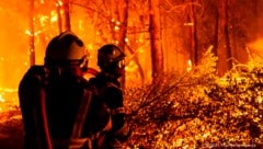 Weltweit kämpfen die Feuerwehren gegen zunehmende Waldbrände an. (Bild: AP)