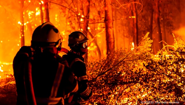 Weltweit kämpfen die Feuerwehren gegen zunehmende Waldbrände an. (Bild: AP)