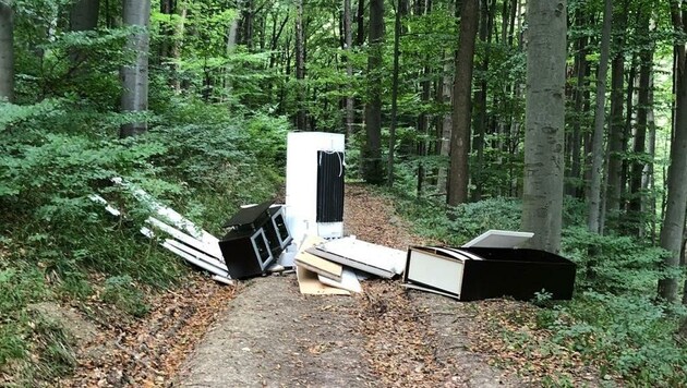 Achtlos entsorgt: Statt auf dem Sperr- müll landeten ein Kühlschrank, ein Computerbildschirm, Kommoden, Kasterln und mehr im Wienerwald. (Bild: zVg)