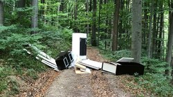 Achtlos entsorgt: Statt auf dem Sperr- müll landeten ein Kühlschrank, ein Computerbildschirm, Kommoden, Kasterln und mehr im Wienerwald. (Bild: zVg)