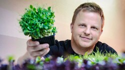 Josef Ratzenböck kultiviert in seiner Indoor-Farm in Zwettl an der Rodl vitaminreiche Sprossen und gesundes „Mikrogrün“ aus mehr als 60 Saaten. (Bild: Einöder Horst)