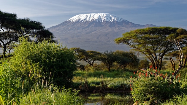 Der Kilimandscharo (Bild: W.BRUECHLE@GSI.DE - stock.adobe.com)