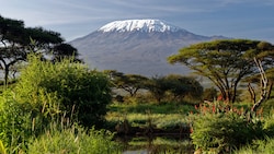 Der Kilimandscharo wurde für Philipp P. zum Todesberg. (Bild: W.BRUECHLE@GSI.DE - stock.adobe.com)