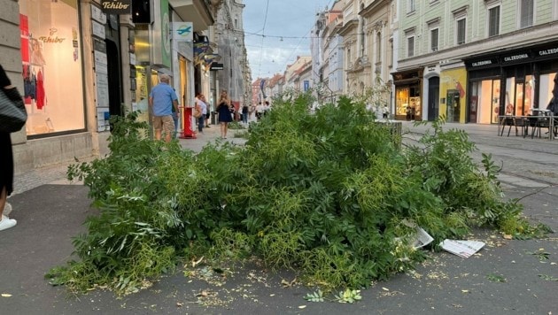 Am Eisernen Tor in Graz fielen Äste von den Bäumen und kamen mitten in der Herrengasse zu liegen. (Bild: Christoph Hartner)