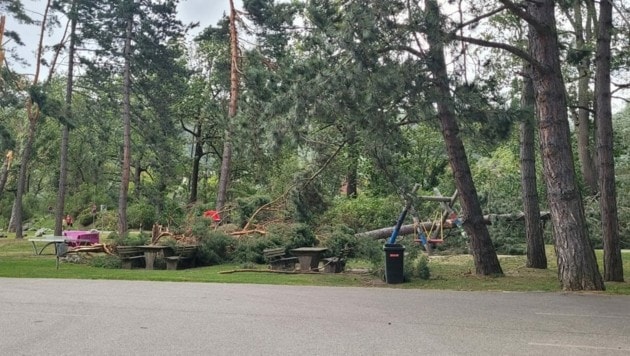 Zerstörter Kinderspielplatz in Bruck an der Mur (Bild: zVg)