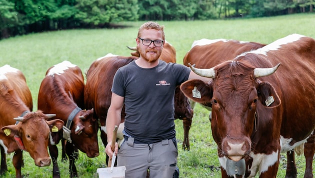 Sebastian Feldbacher, hat zu Pfingsten zwölf Kühe auf die Vierkaseralm am Untersberg aufgetrieben. (Bild: Tschepp Markus)