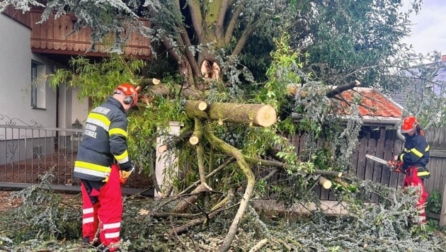 (Bild: FF Judendorf-Straßengel)