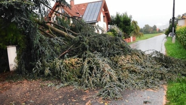 (Bild: FF Judendorf-Straßengel)