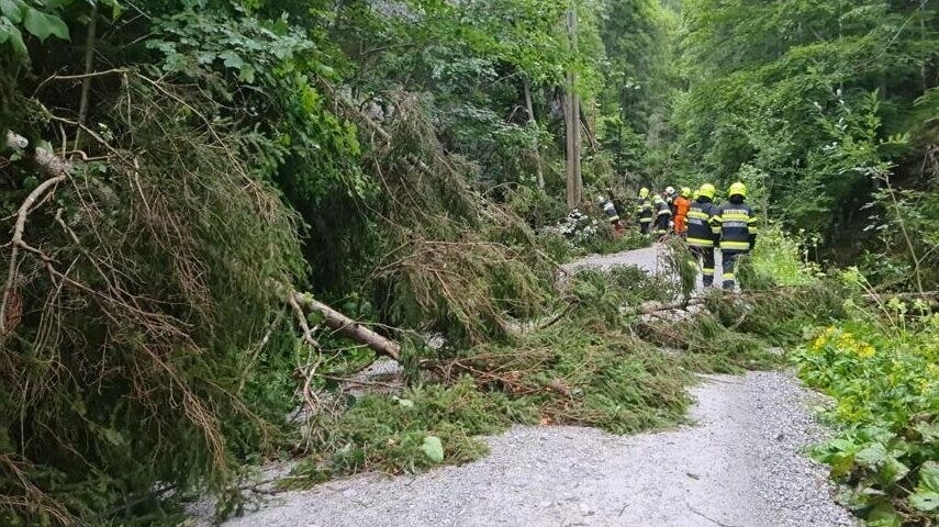 Böen Mit 140 Km/h - Sturm über Steiermark: 85.000 Haushalte Ohne Strom ...