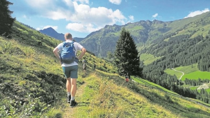 Während der Wanderung zur Alm liegt der Talschluss des Greiter Grabens vor uns. (Bild: Peter Freiberger)