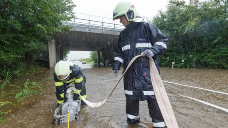 (Bild: Bernd Hofmeister)