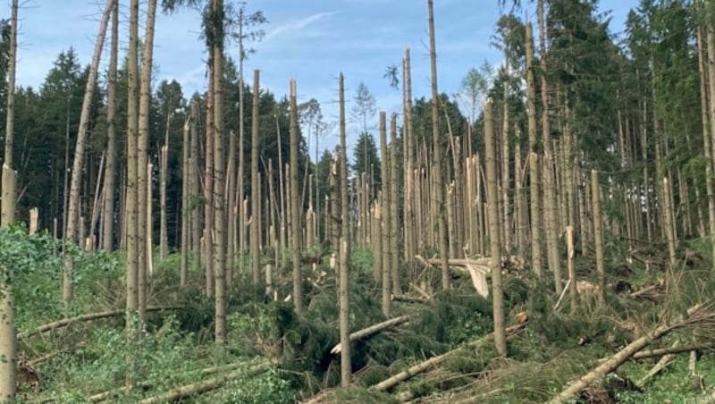 Sturmschäden in der Gemeinde St. Marein-Feistritz (Bild: Land Steiermark)