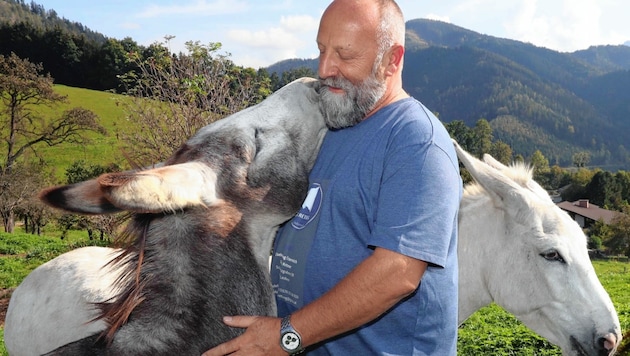 Ulrich Kettner fuhr im Jahr 2019 mit seiner wunderbaren Eselrettung, die er mit ganz viel Herzblut betreut, schon den Tierschutzpreis des Landes ein. Jetzt braucht er Unterstützung. (Bild: Juergen RadspielerJürgen Radspieler)