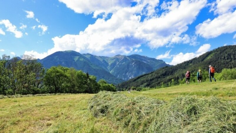 So schön ist der neue Styrian Iron Trail (Bild: Weges)