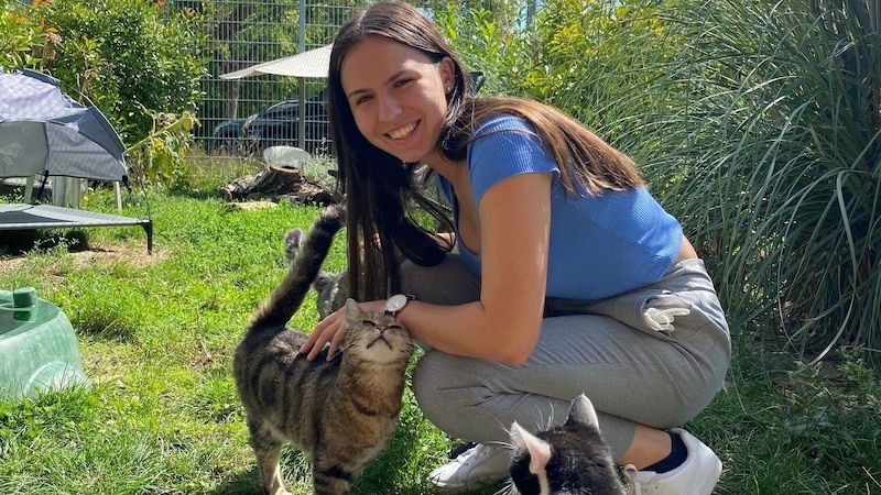 Anna also visited the "Krone" cat house as part of her vacation practice and was warmly welcomed. (Bild: Katharina Lattermann)