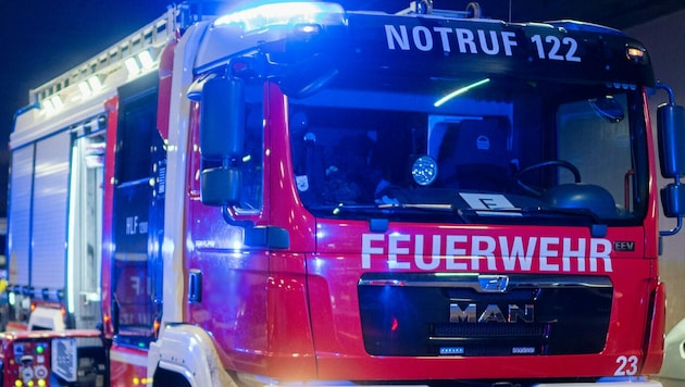 Der Brand konnte von den Feuerwehren Mureck und Misselsdorf gelöscht werden. (Bild: APA/Georg Hochmuth)