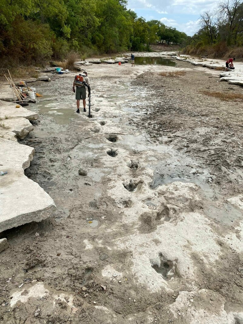 (Bild: AFP/Dinosaur Valley State Park)