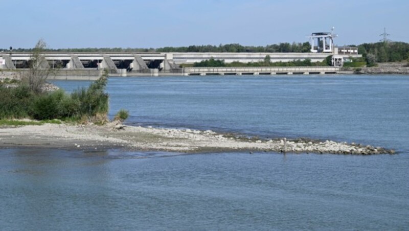 Wasserkraftwerke hindern den Huchen oft am Erreichen seiner Laichgründe: Es braucht passende Wanderhilfen, mahnen die Forscher. (Bild: APA/ROLAND SCHLAGER)