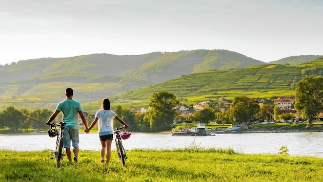 17 Etappen umfasst der Donauradweg in Österreich (Bild: (c) Niederösterreich Werbung/ David Schreiber)