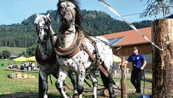 Arbeit der Pferde im Wald: Bei der Europameisterschaft im Holzrücken in Glantschach kann man ihnen dabei zusehen. (Bild: f. pessentheiner)