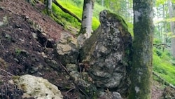 Vor diesem Felsbrocken fürchtet sich die Frau aus Rosenau am Hengstpass am meisten - er hängt an einem Baum über ihrem Haus. (Bild: zVg)