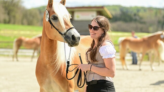 Isabel Heissenberger mit einem ihrer selbst gezüchteten Sport-Haflinger: "Man erkennt sie an ihrem eleganten Körperbau und der prachtvollen Mähne." (Bild: Barbara Schneider, Vera Janosch)