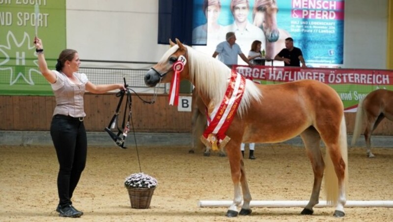 (Bild: Barbara Schneider, Vera Janosch)