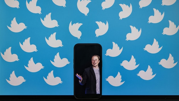 Milliardär Musk mischt sich schon vor der offiziellen Übernahme ins Twitter-Geschäft ein. (Bild: AFP)