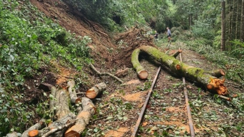 Schäden an der Strecke der Feistritztalbahn (Bild: Patrik Ehnsperg)