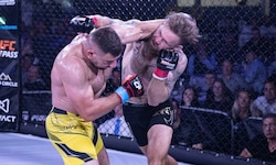 Bei MMA-Kämpfen fliegen nicht nur die Fäuste.