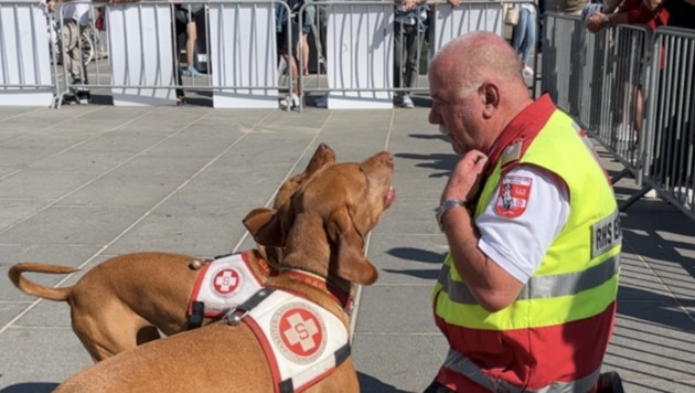 Am Neuen Platz gab es für die vielen Besucher noch eine Leistungsschau der Vierbeiner (Bild: Jennifer Kapellari)